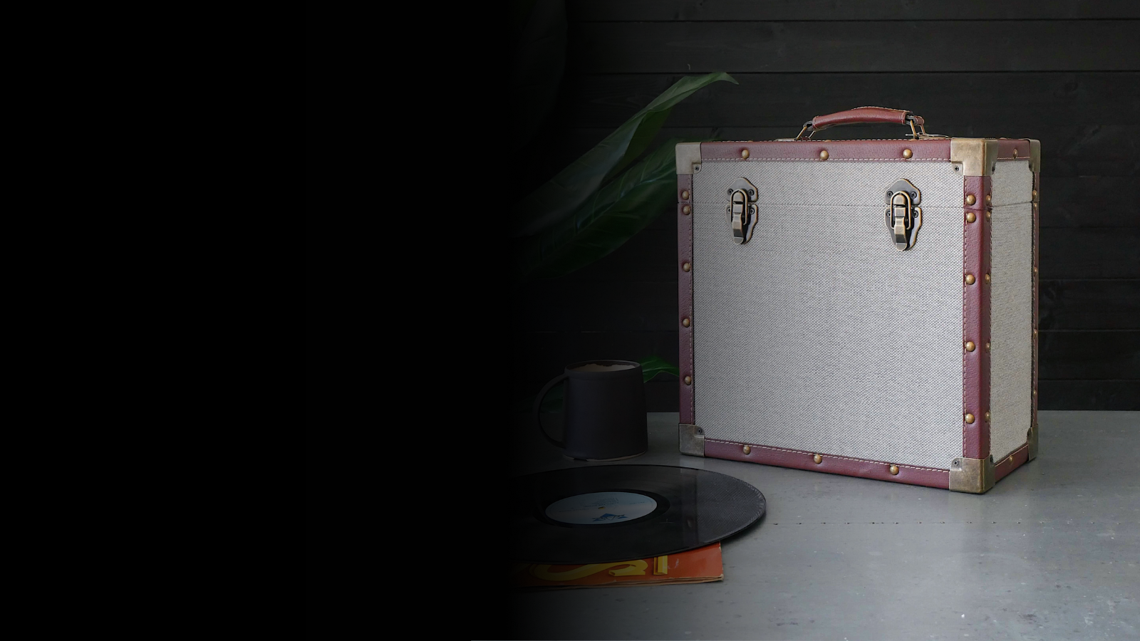 Record Storage Cases