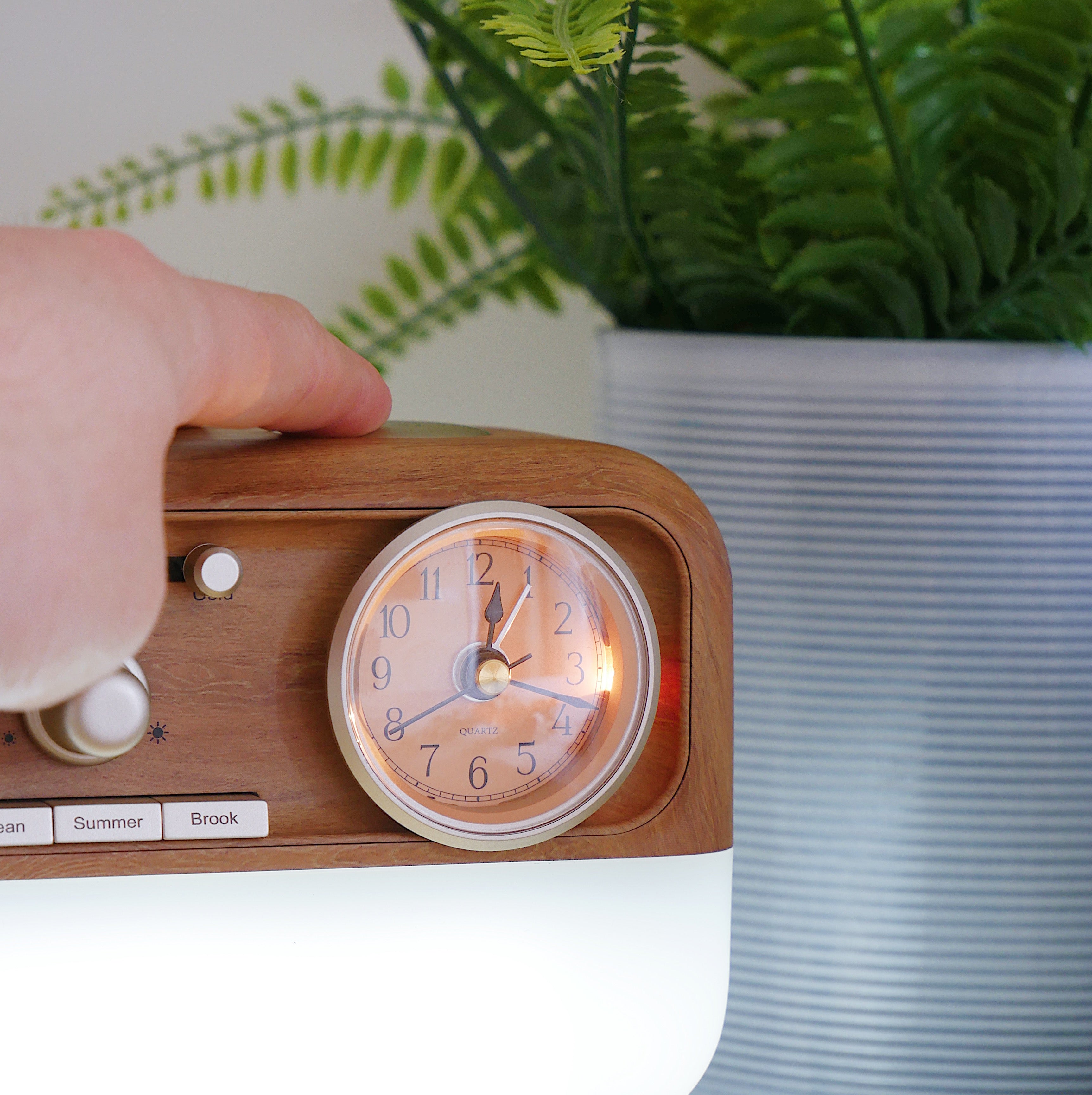 Calm Sleep Sounds Speaker And Bedside Light Alarm Clock